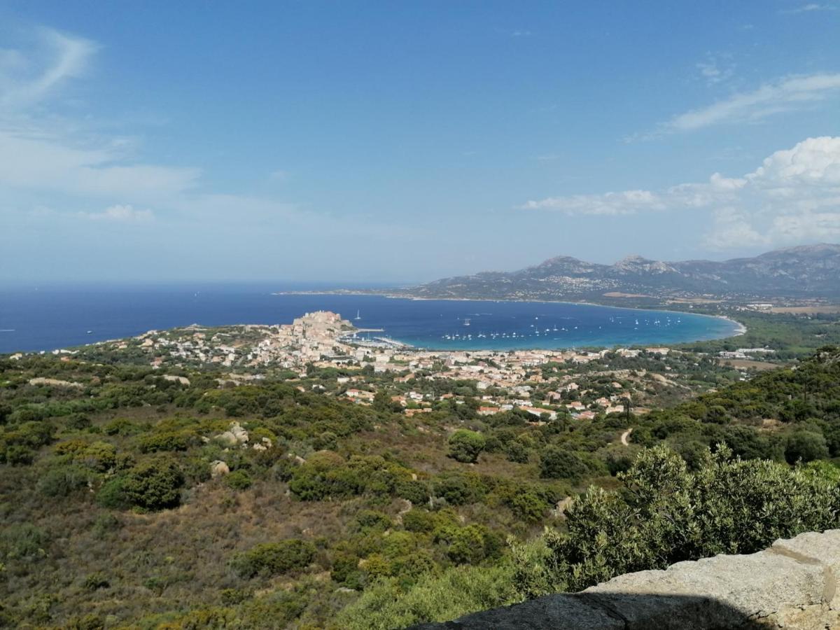Appartement Residence Les Eucalyptus LʼÎle-Rousse Dış mekan fotoğraf